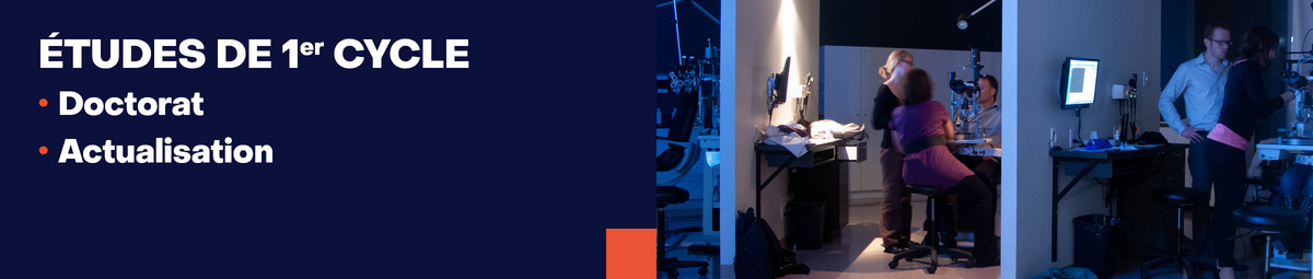 Études de premier cycle - Doctorat ou actualisation